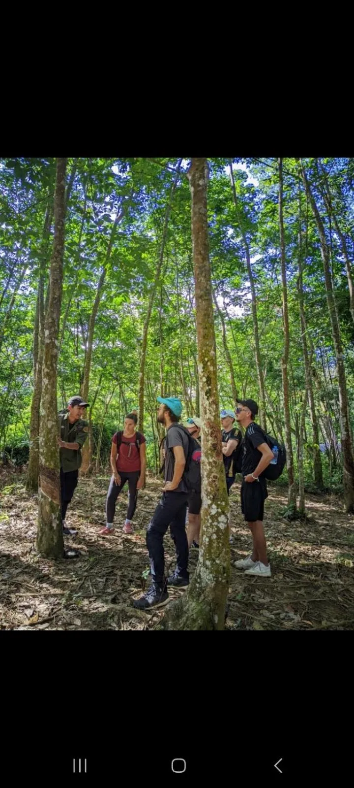Ustin Nagoya Bukit Lawang Orangutan Trekking & transport only book with us