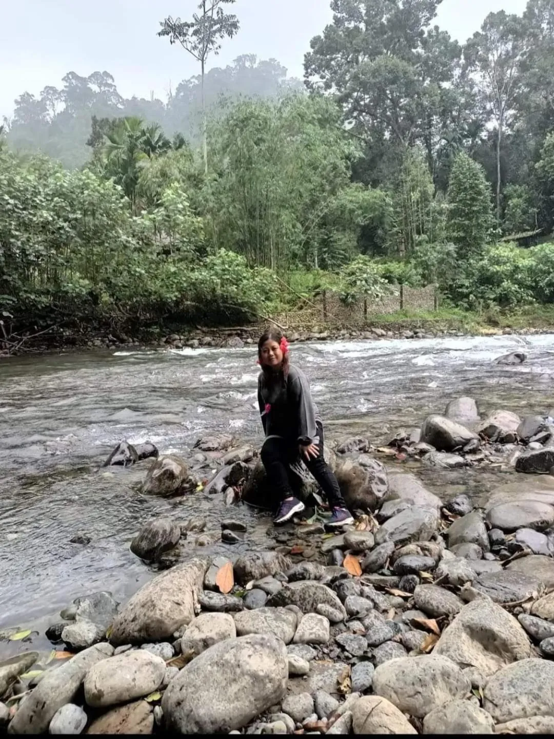 Spring in Ustin Nagoya Bukit Lawang Orangutan Trekking & transport only book with us