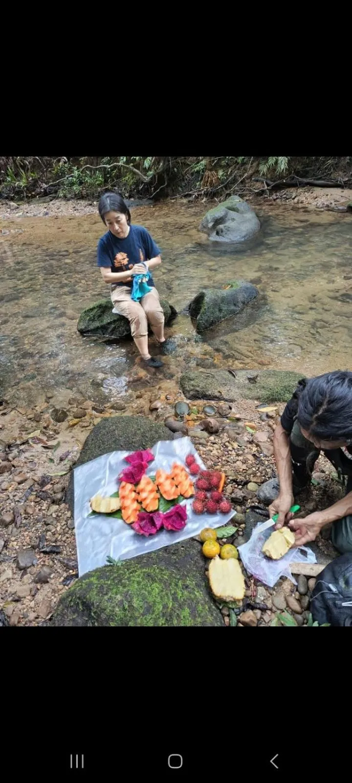 Ustin Nagoya Bukit Lawang Orangutan Trekking & transport only book with us