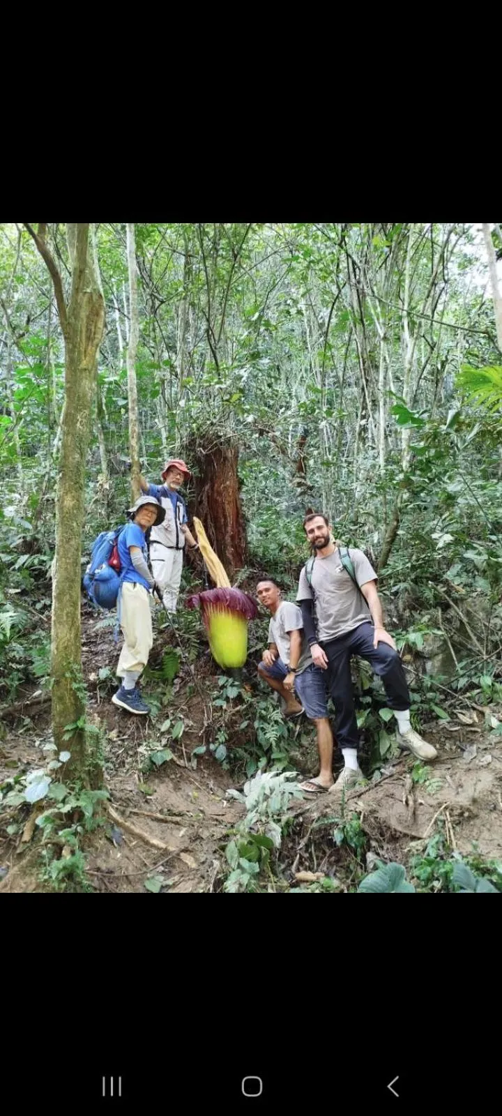 Ustin Nagoya Bukit Lawang Orangutan Trekking & transport only book with us