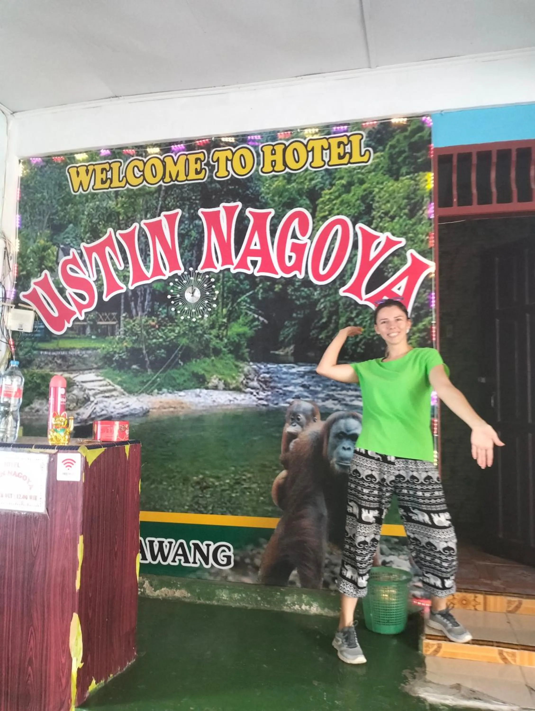 Property building in Ustin Nagoya Bukit Lawang Orangutan Trekking & transport only book with us