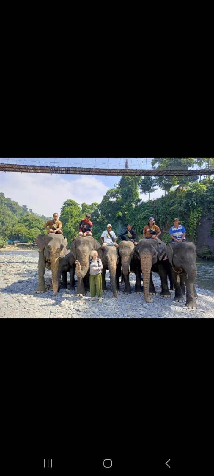 Ustin Nagoya Bukit Lawang Orangutan Trekking & transport only book with us