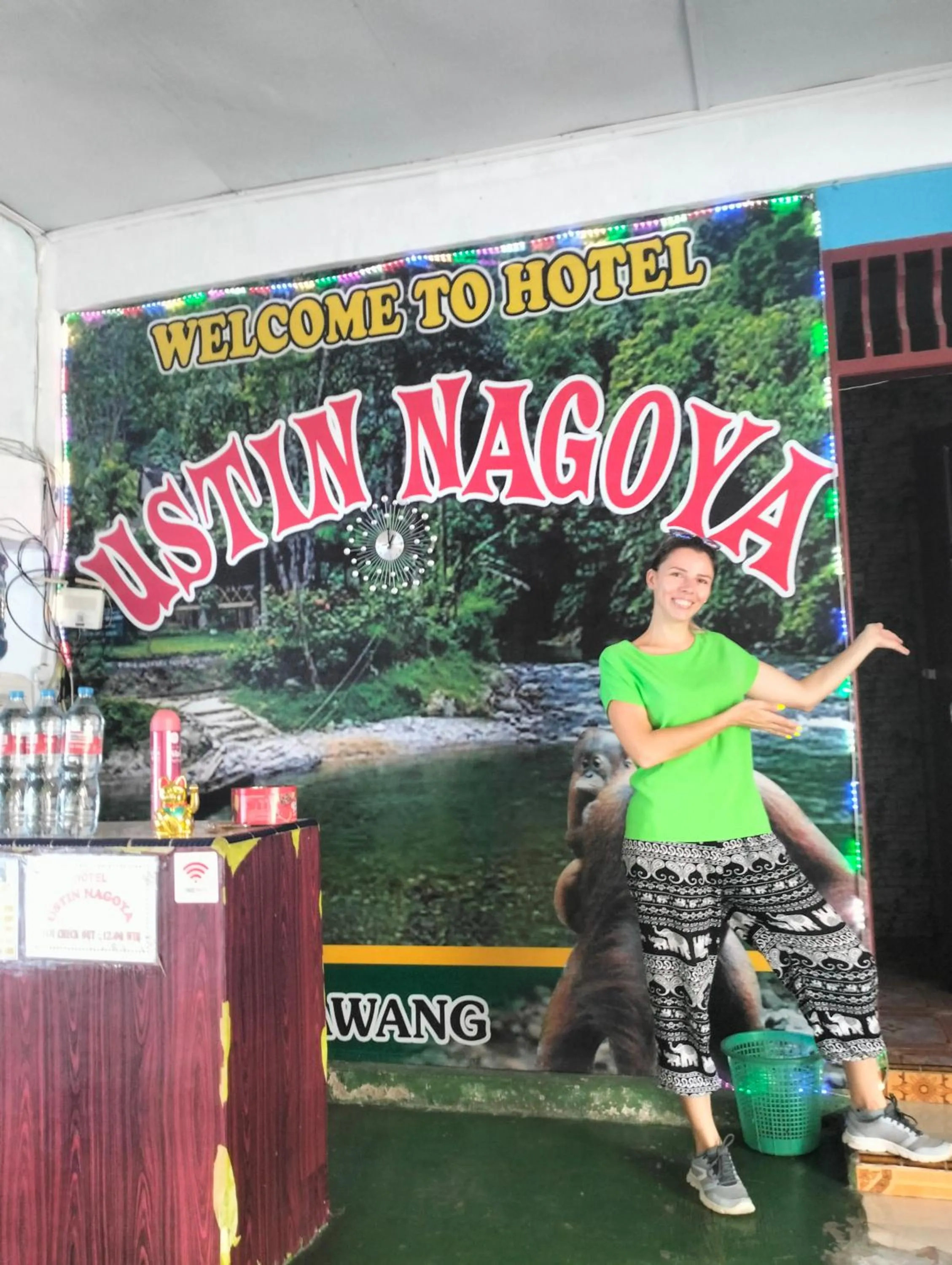 Property building in Ustin Nagoya Bukit Lawang Orangutan Trekking & transport only book with us