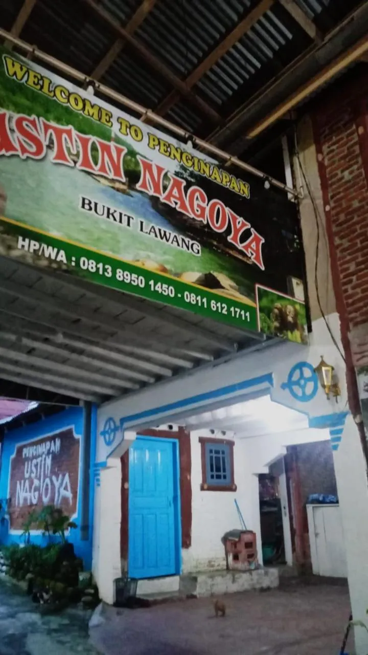 Ustin Nagoya Bukit Lawang Orangutan Trekking & transport only book with us