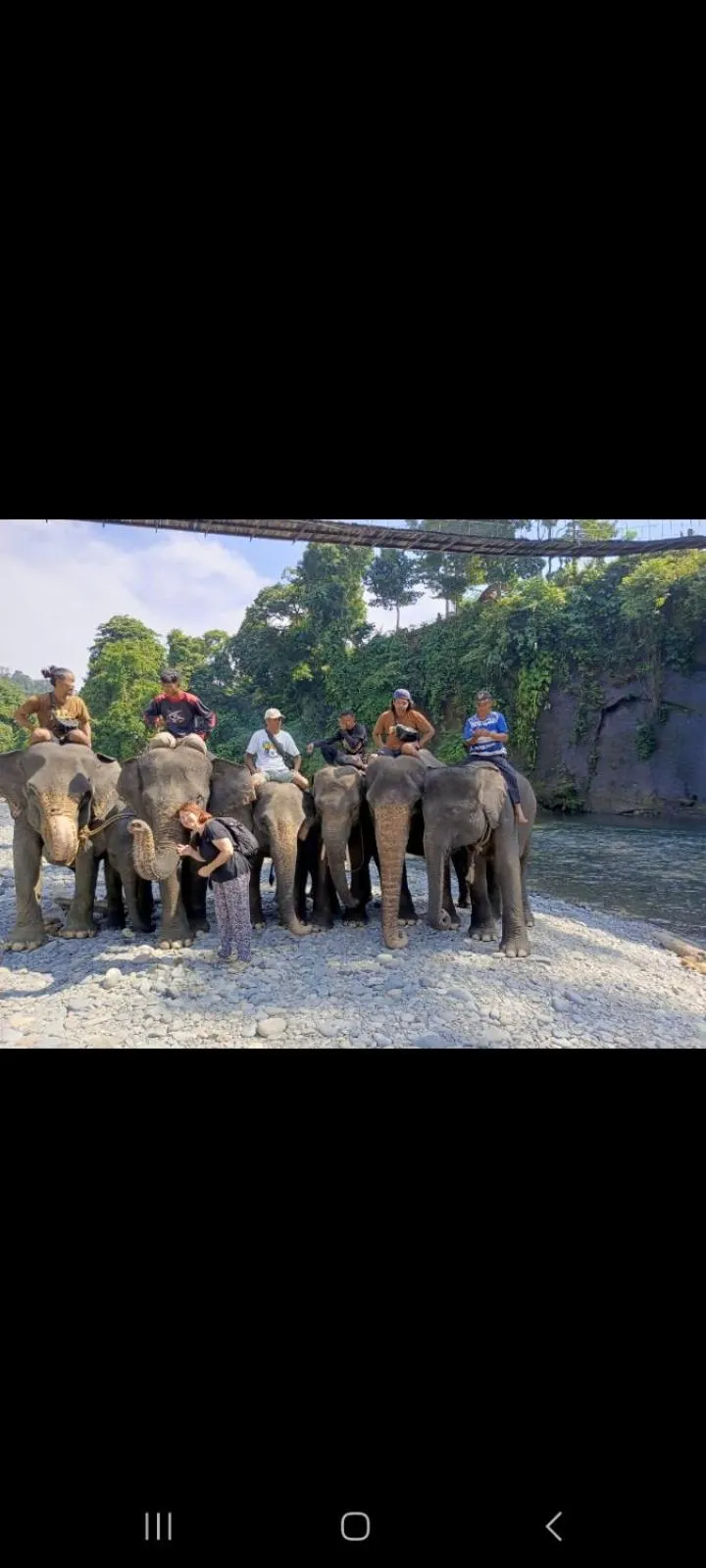 Ustin Nagoya Bukit Lawang Orangutan Trekking & transport only book with us