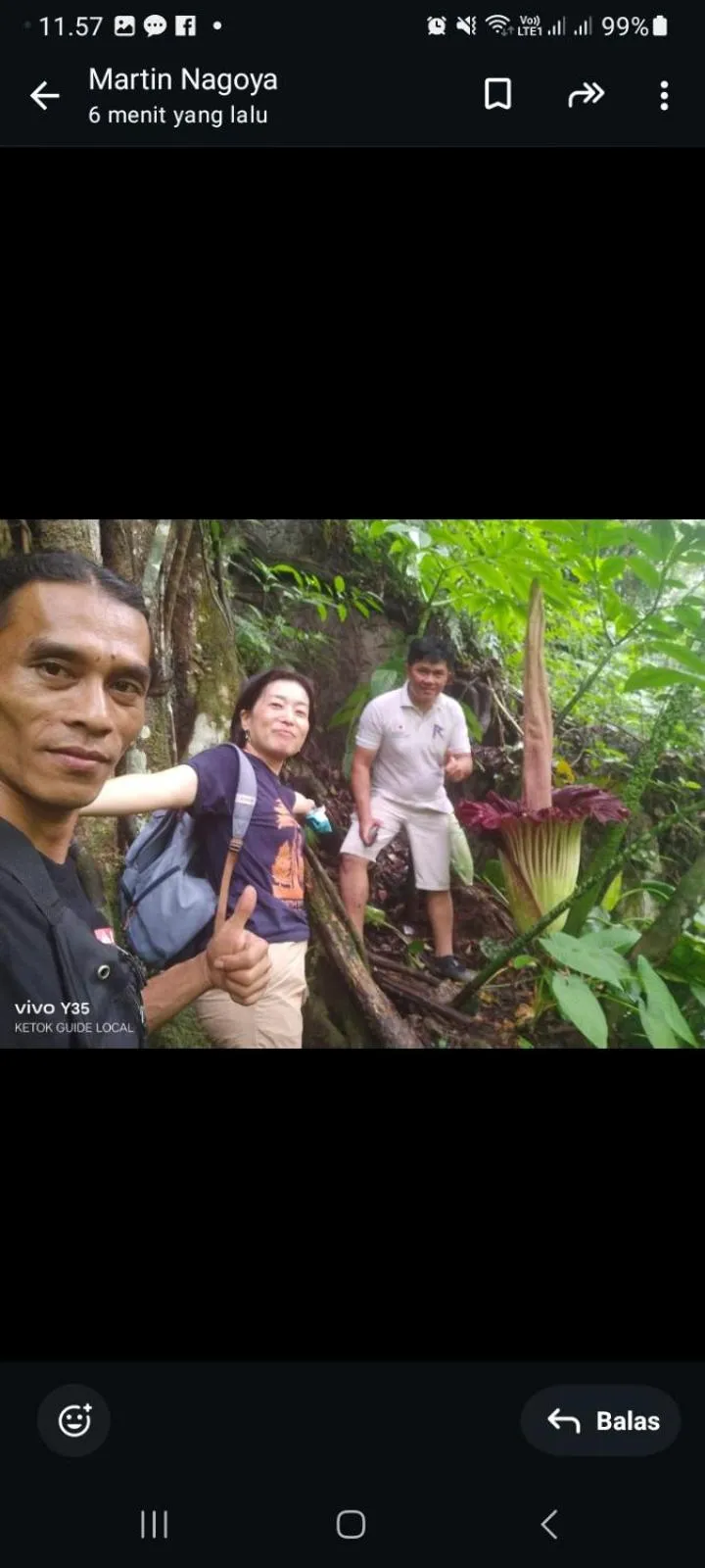 Ustin Nagoya Bukit Lawang Orangutan Trekking & transport only book with us