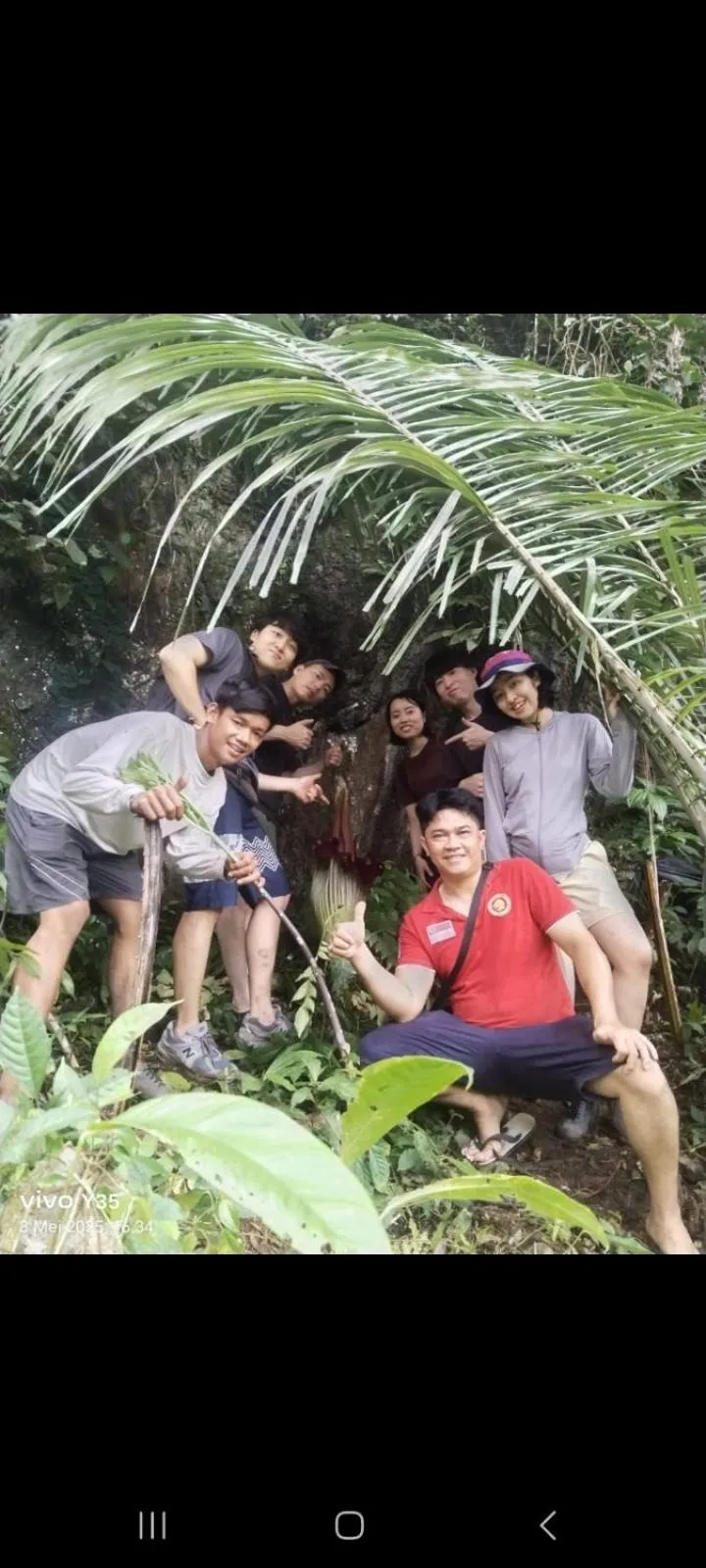 Ustin Nagoya Bukit Lawang Orangutan Trekking & transport only book with us