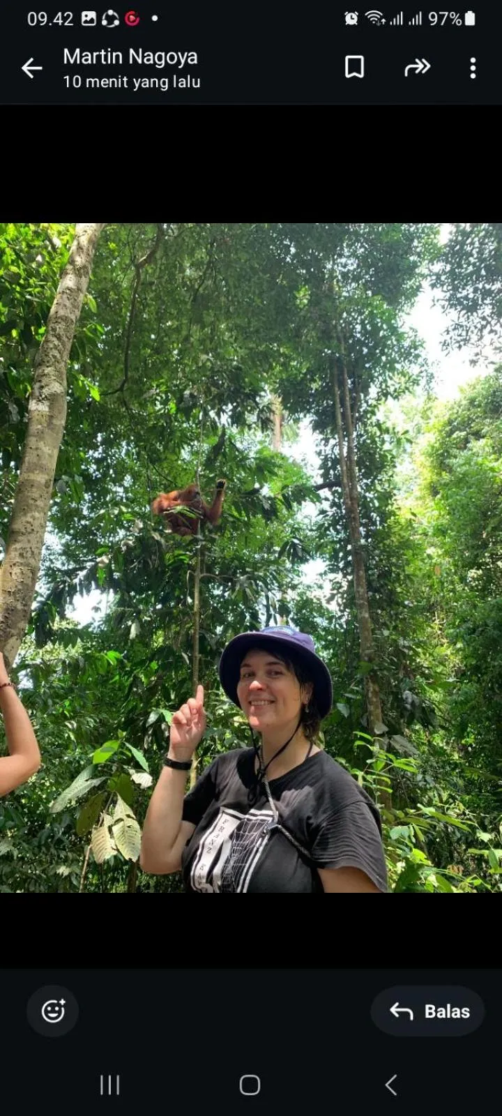 Ustin Nagoya Bukit Lawang Orangutan Trekking & transport only book with us