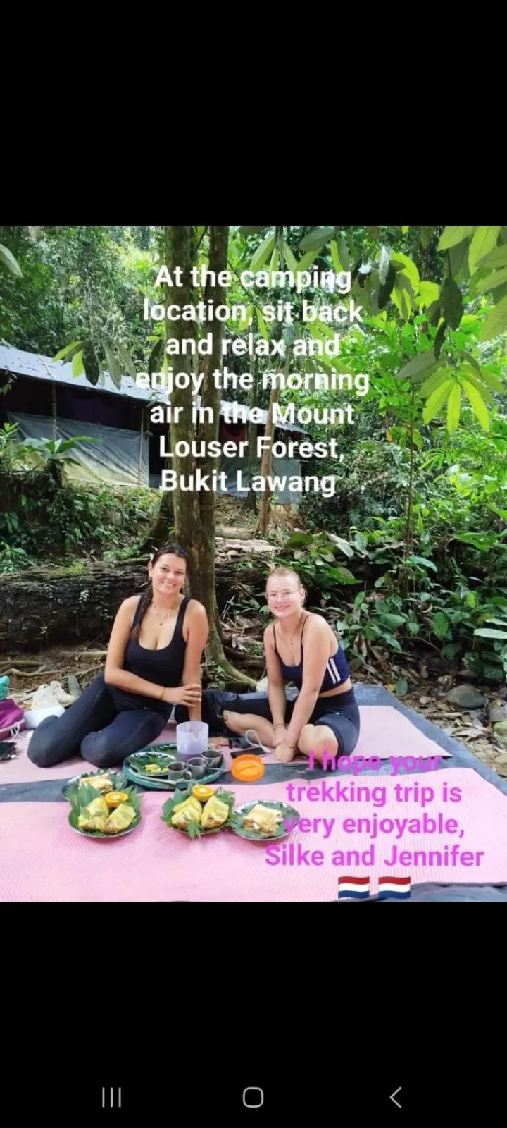 Ustin Nagoya Bukit Lawang Orangutan Trekking & transport only book with us