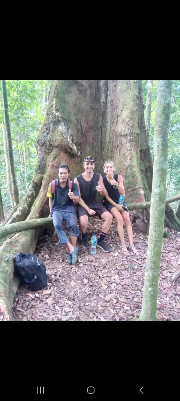 Ustin Nagoya Bukit Lawang Orangutan Trekking & transport only book with us