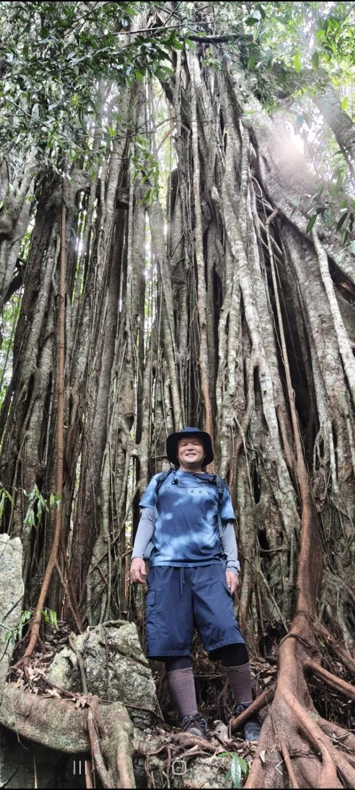 Ustin Nagoya Bukit Lawang Orangutan Trekking & transport only book with us