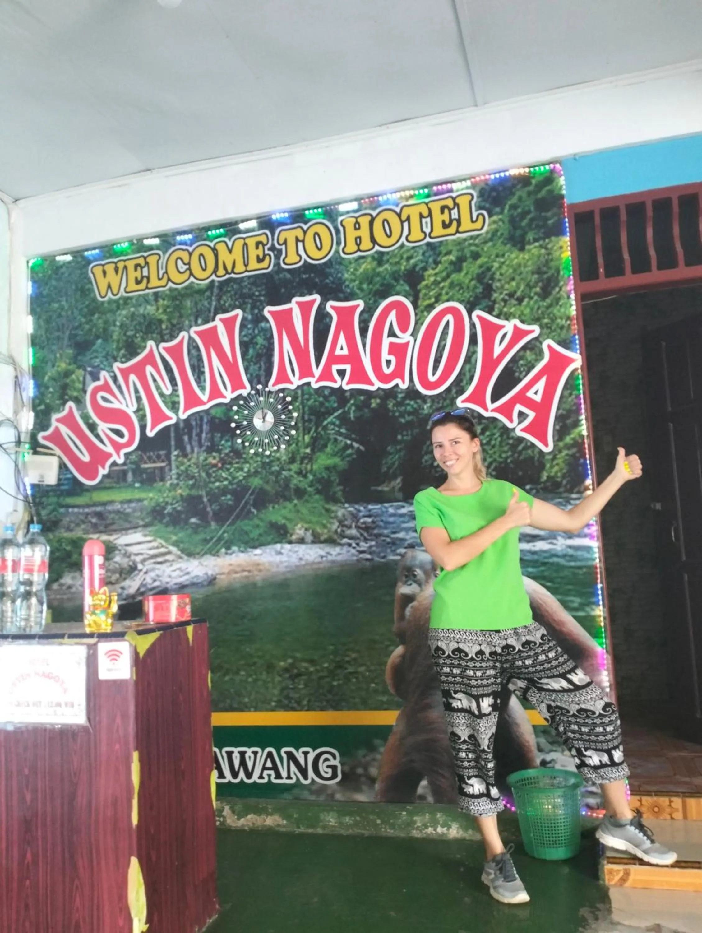 Property building in Ustin Nagoya Bukit Lawang Orangutan Trekking & transport only book with us