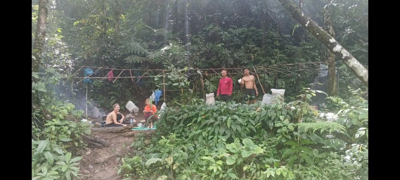 Ustin Nagoya Bukit Lawang Orangutan Trekking & transport only book with us