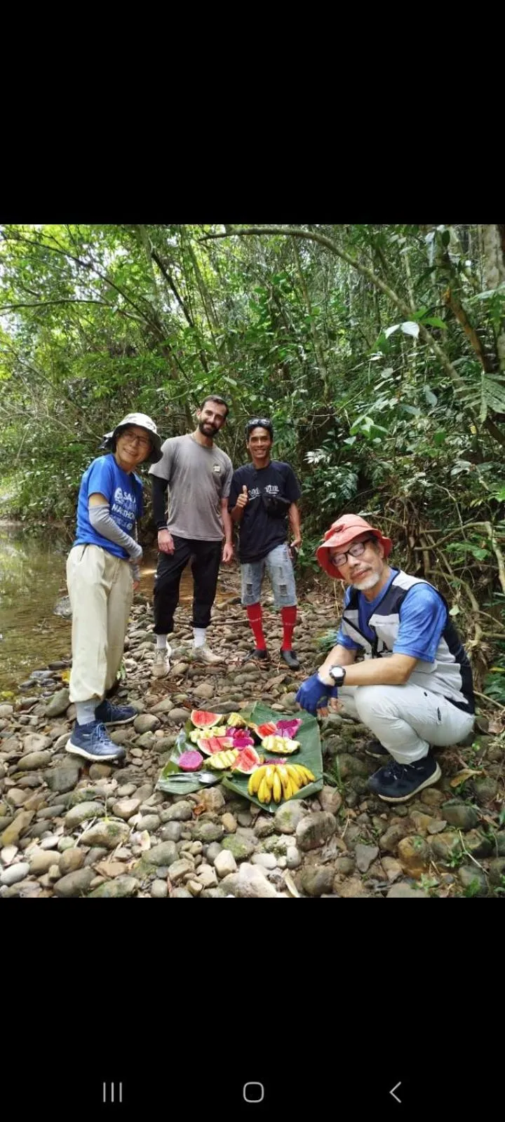 Ustin Nagoya Bukit Lawang Orangutan Trekking & transport only book with us
