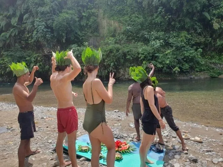 Ustin Nagoya Bukit Lawang Orangutan Trekking & transport only book with us