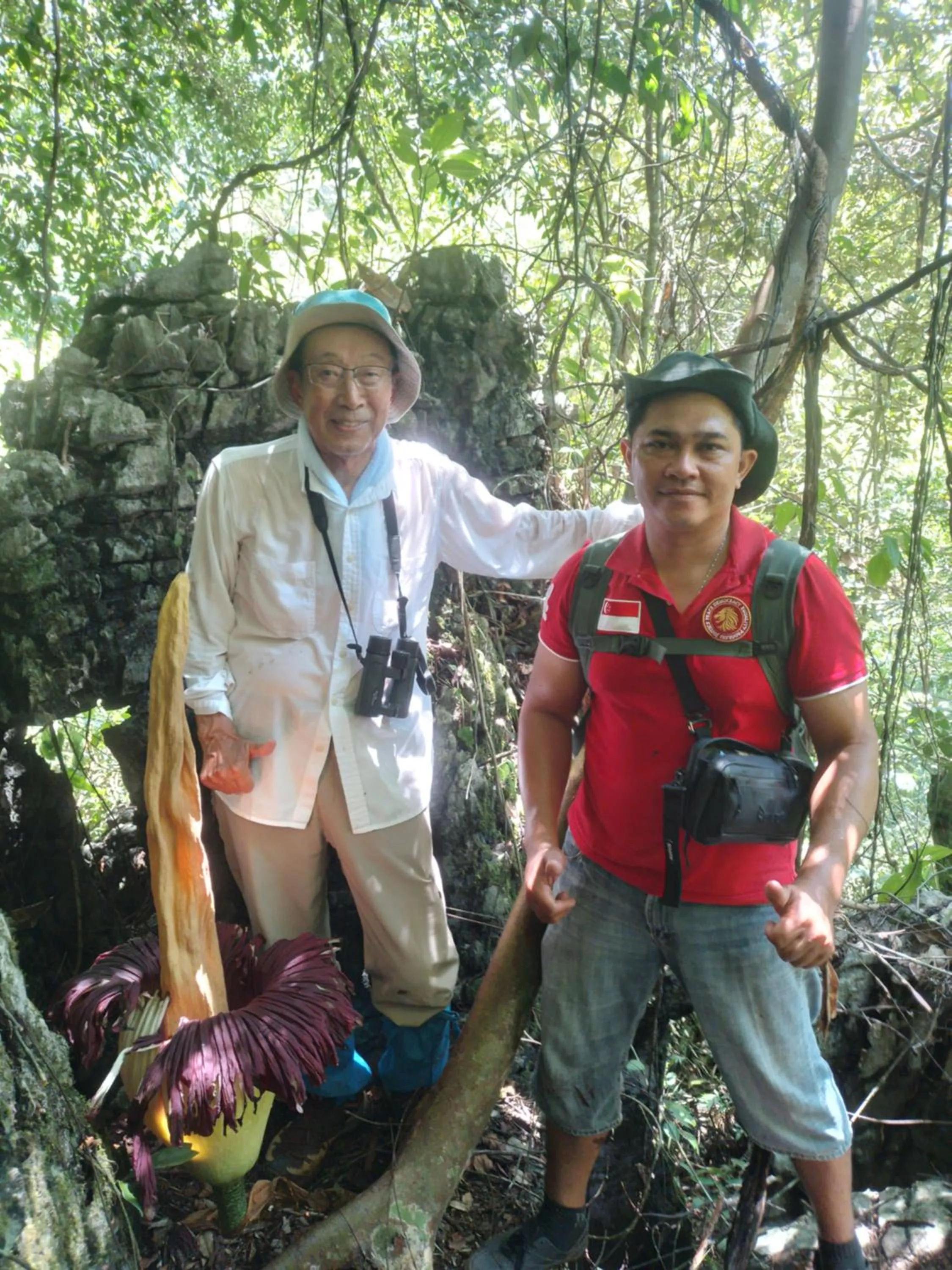 Ustin Nagoya Bukit Lawang Orangutan Trekking & transport only book with us