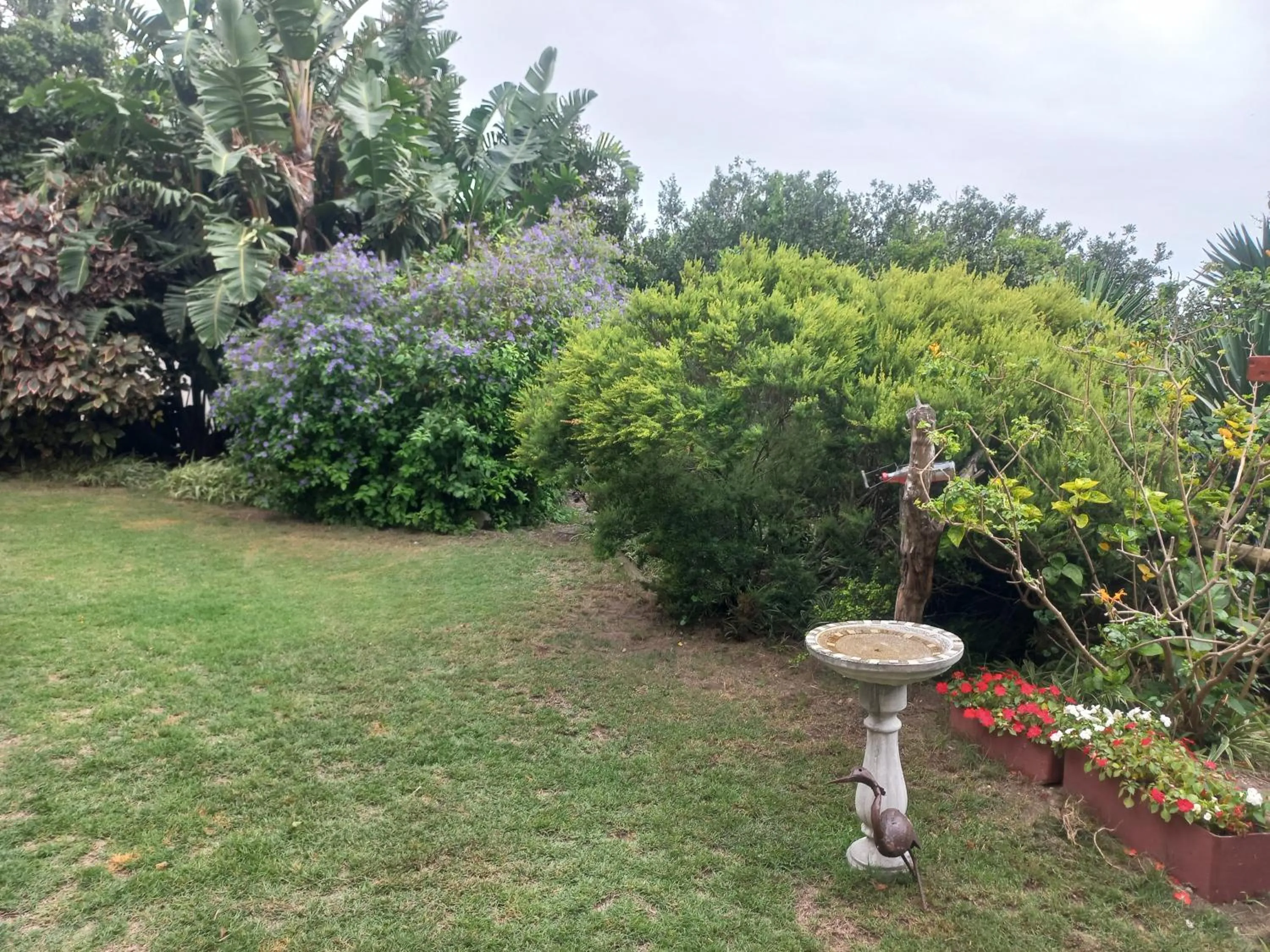 Coral Tree SelfCatering