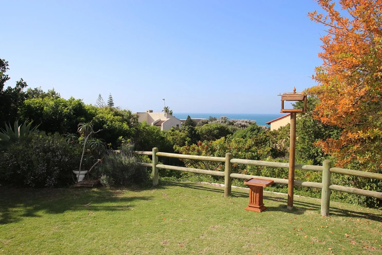 Coral Tree SelfCatering
