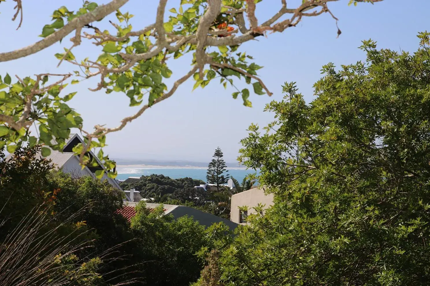 Apartment with Sea View - single occupancy in Coral Tree SelfCatering Apartment with Sea View - single occupancy in Coral Tree SelfCatering