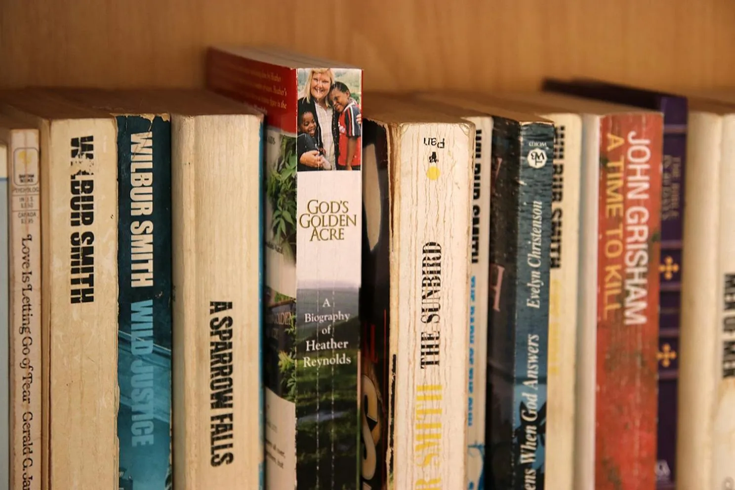 Activities in Coral Tree SelfCatering