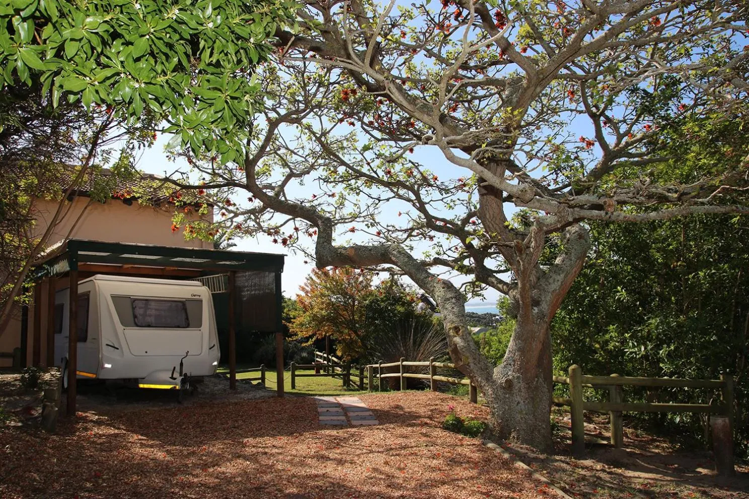 Coral Tree SelfCatering