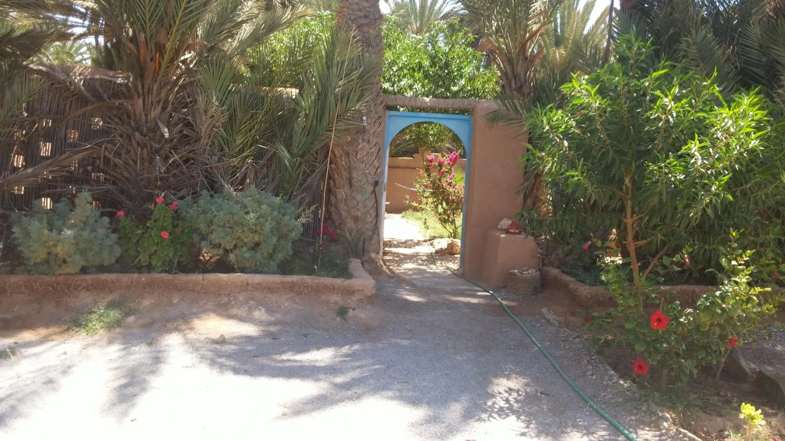 Garden in Auberge Aain Nakhla