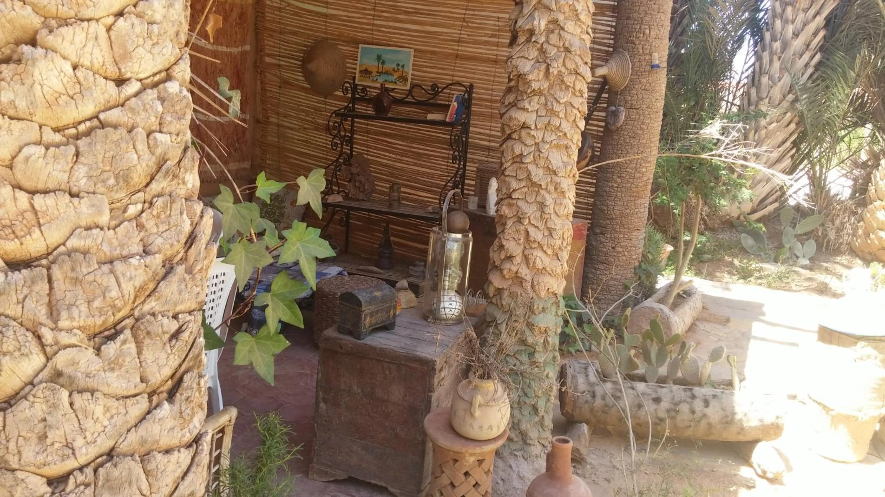 Garden in Auberge Aain Nakhla