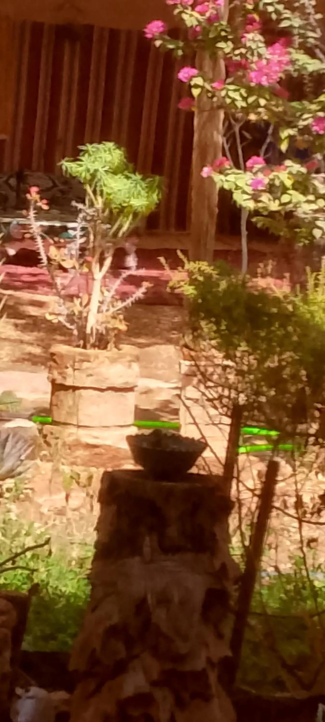 Auberge Aain Nakhla