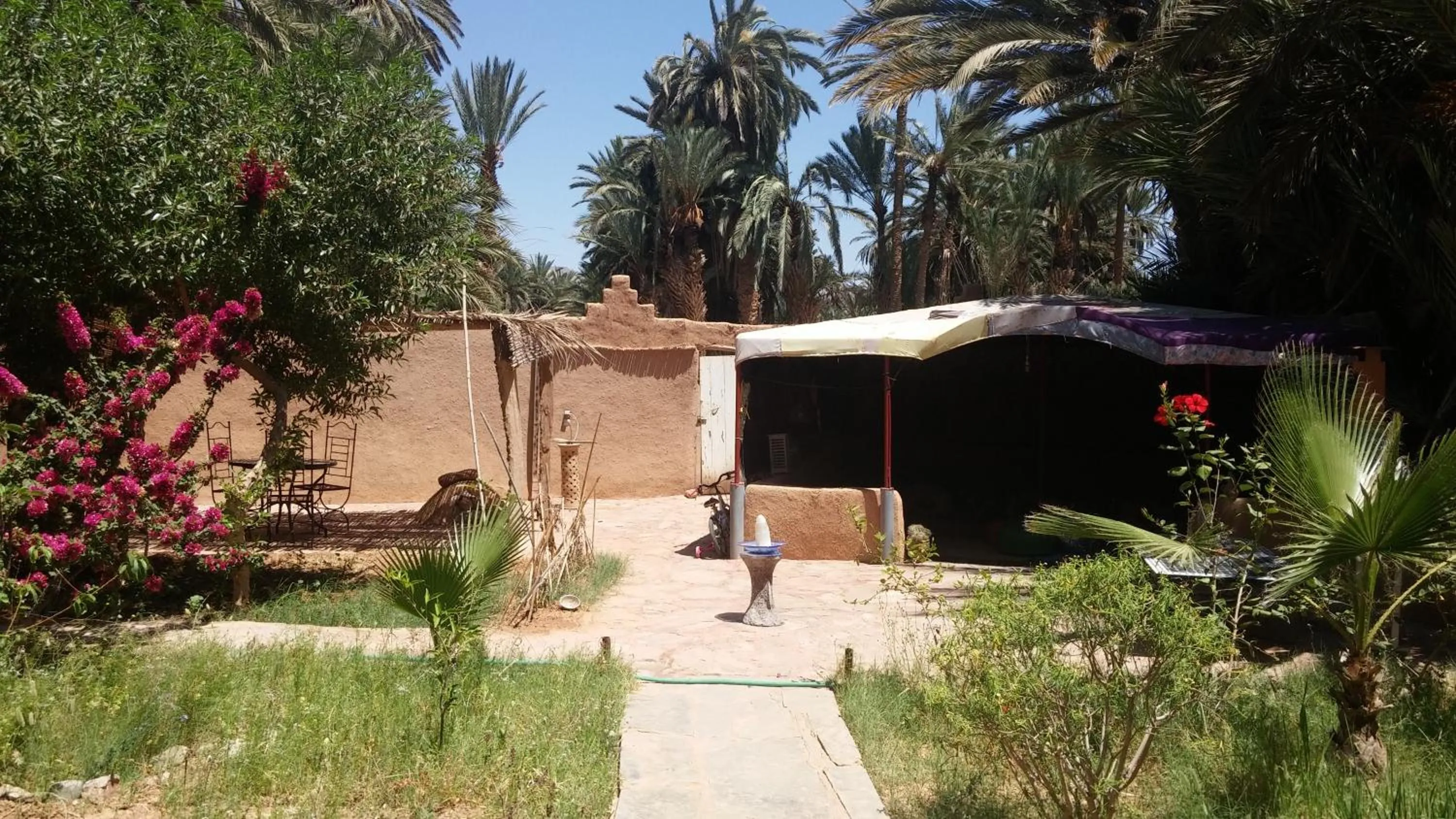 Garden in Auberge Aain Nakhla