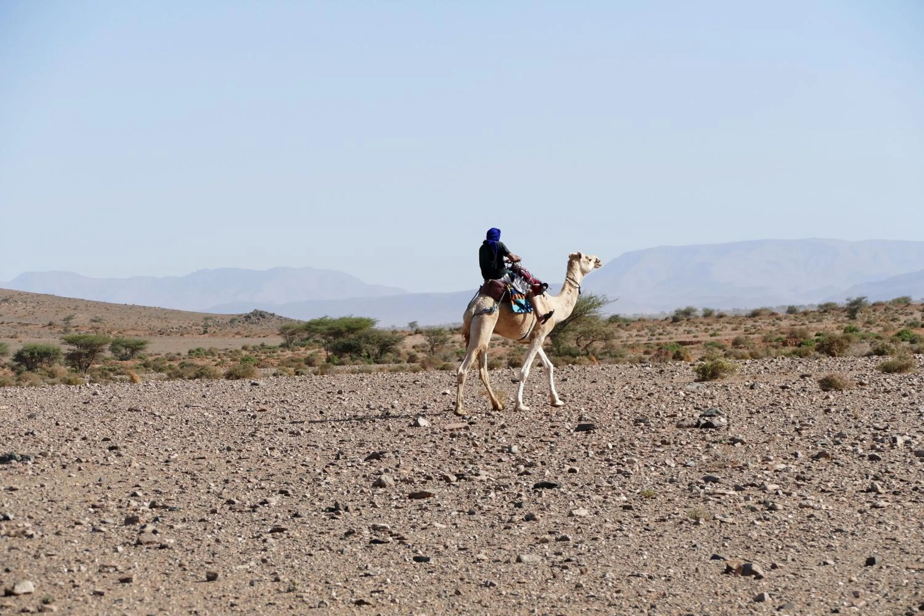 Horse-riding in Auberge Aain Nakhla