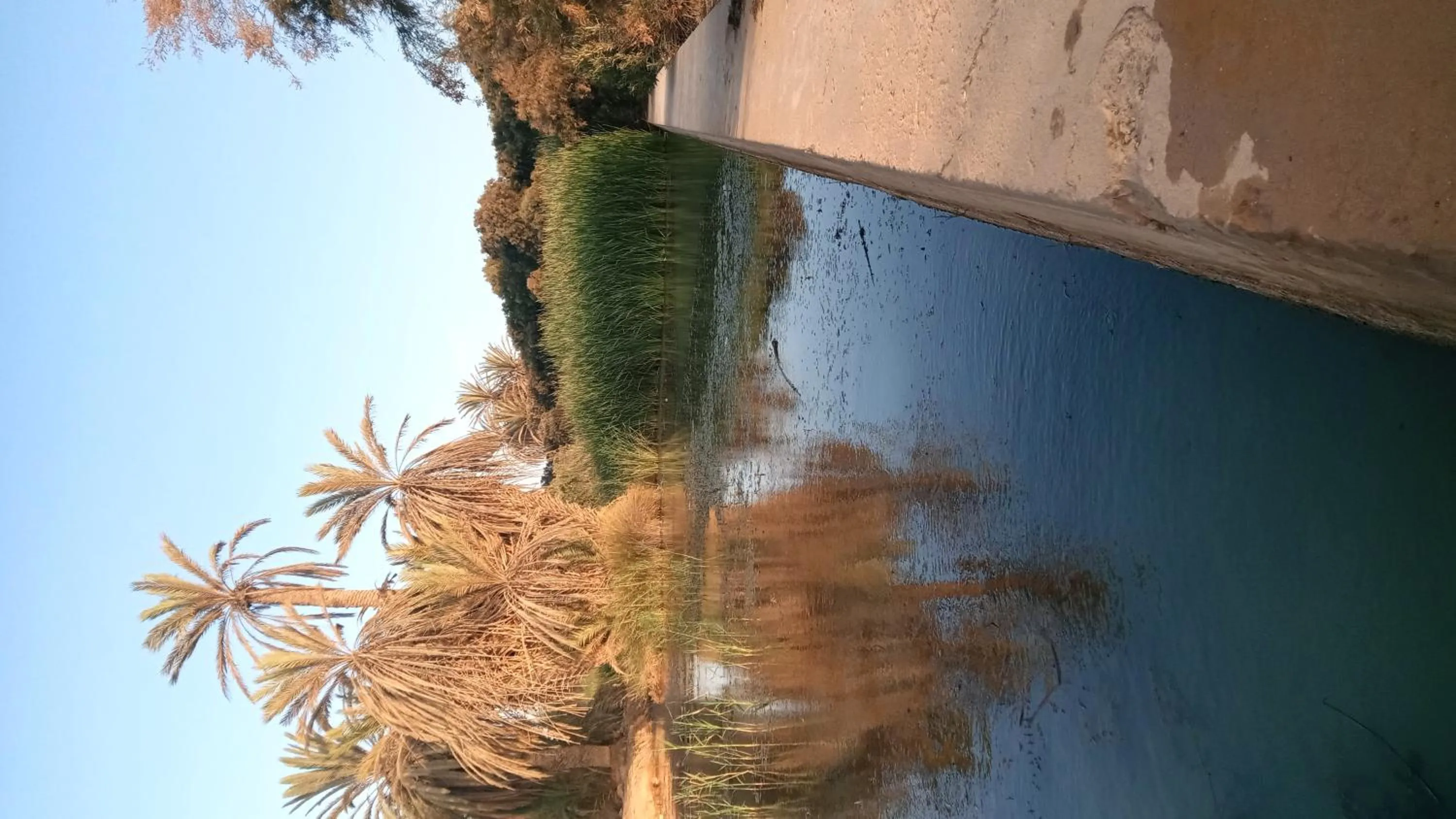 Natural landscape in Auberge Aain Nakhla