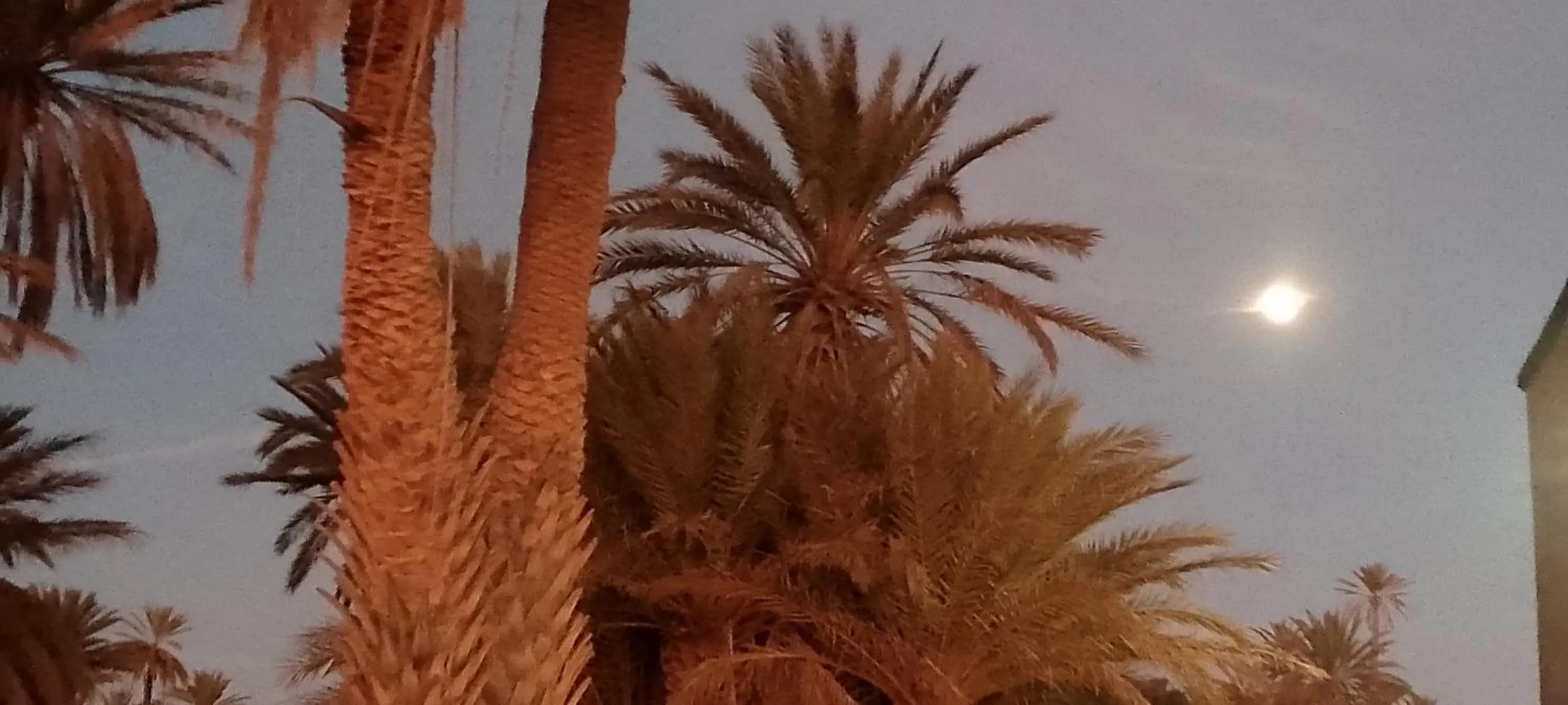 Auberge Aain Nakhla