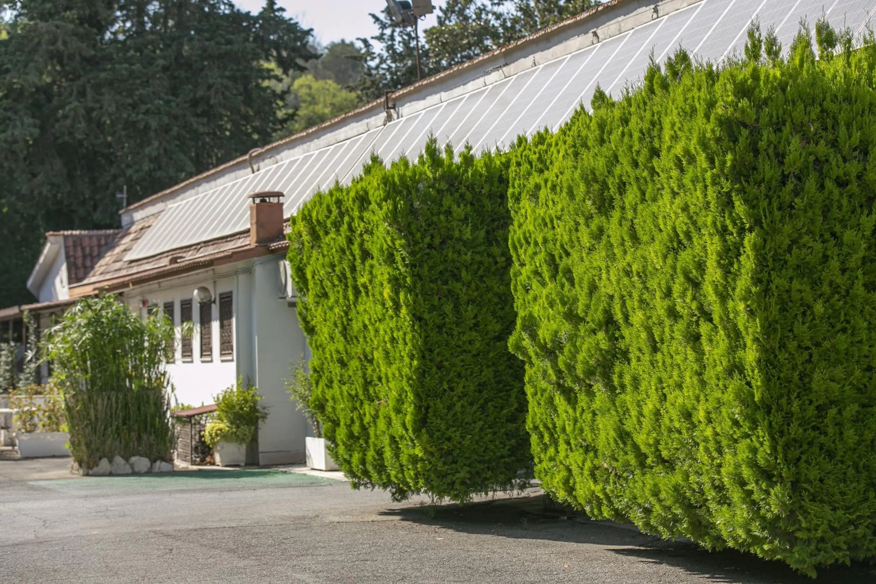 Property building in Hotel Boomerang