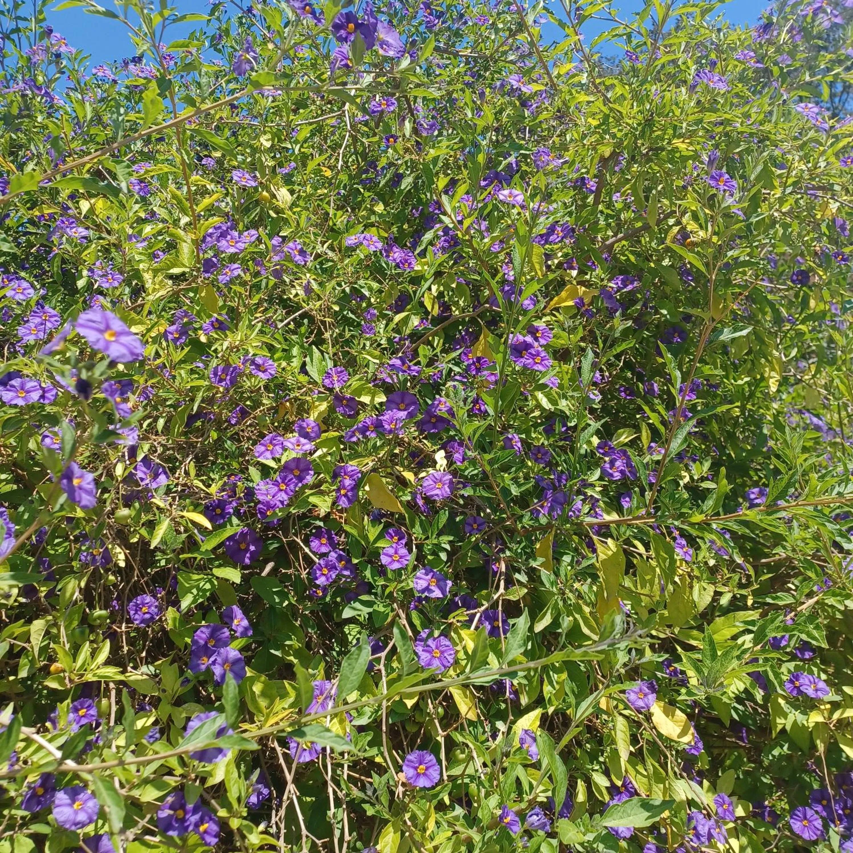 Spring in Hotel Boomerang