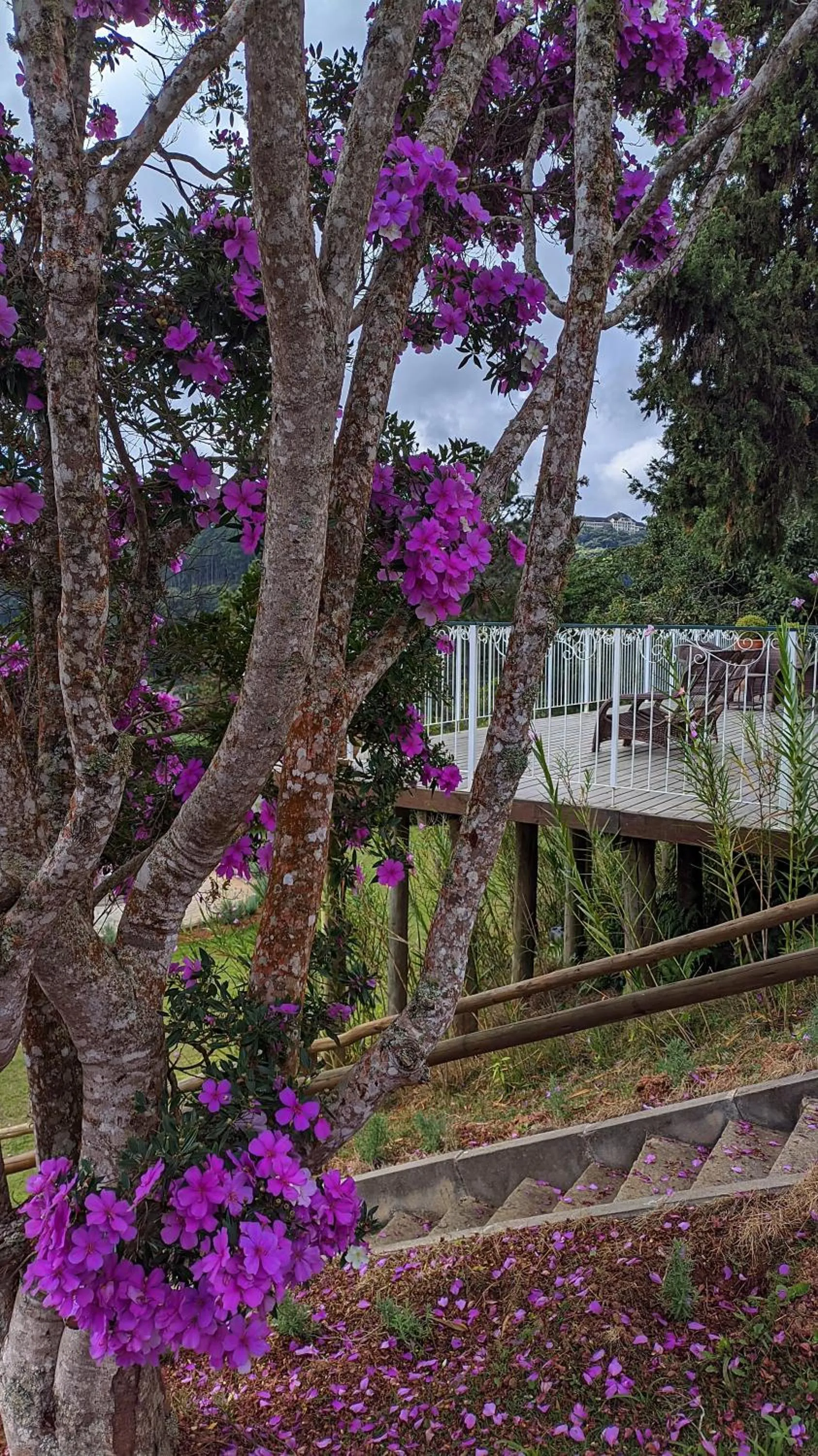 Garden in Pousada Lusitânia