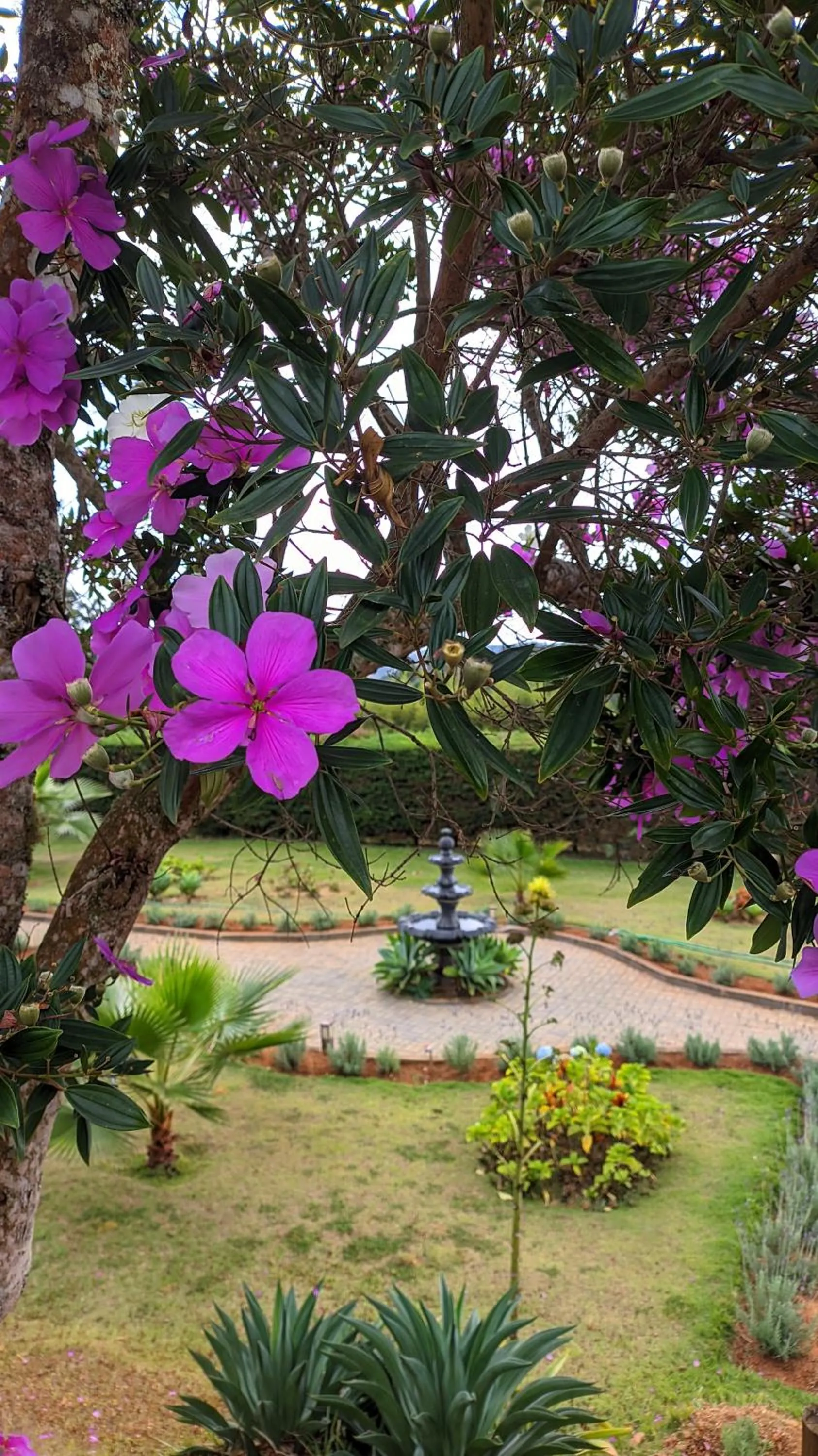 Garden in Pousada Lusitânia