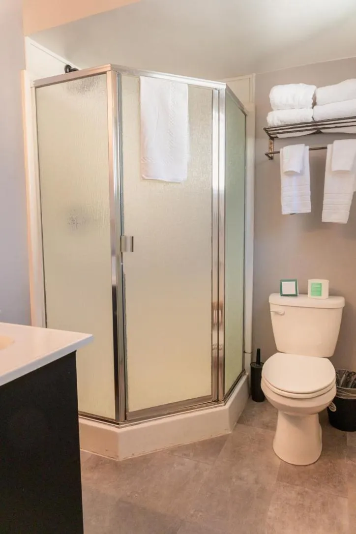 Shower in Summit View Inn