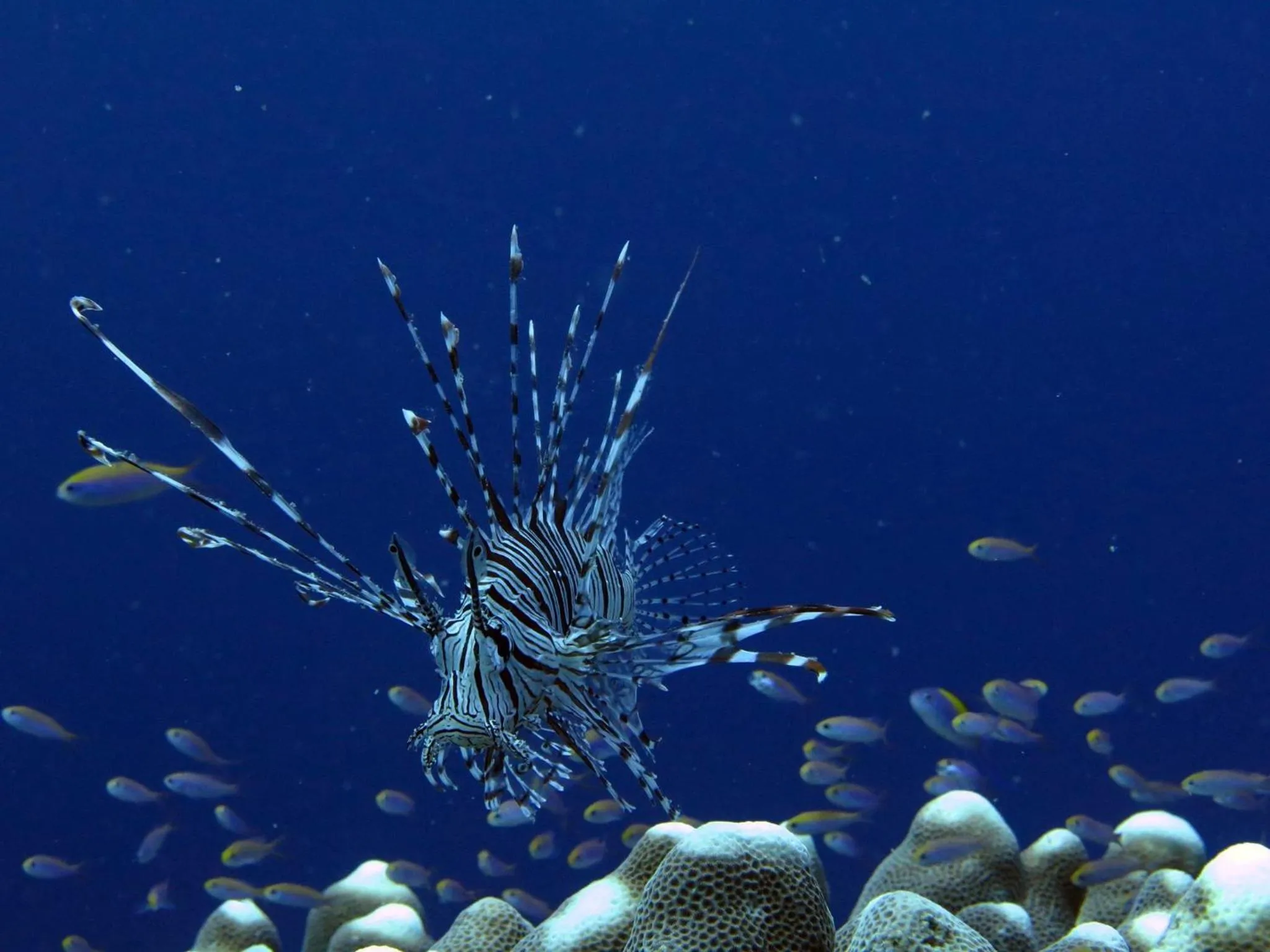 Nearby landmark in Sablayan Paraiso Beach Resort