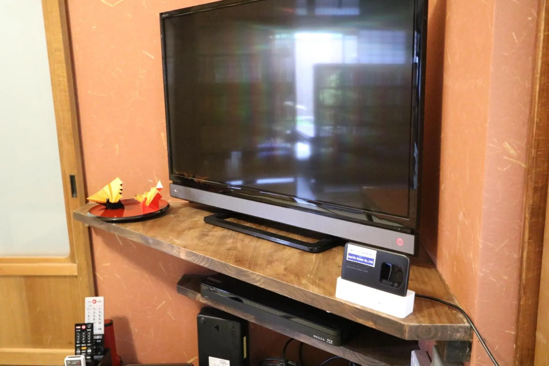 Communal lounge/ TV room in Satsukian