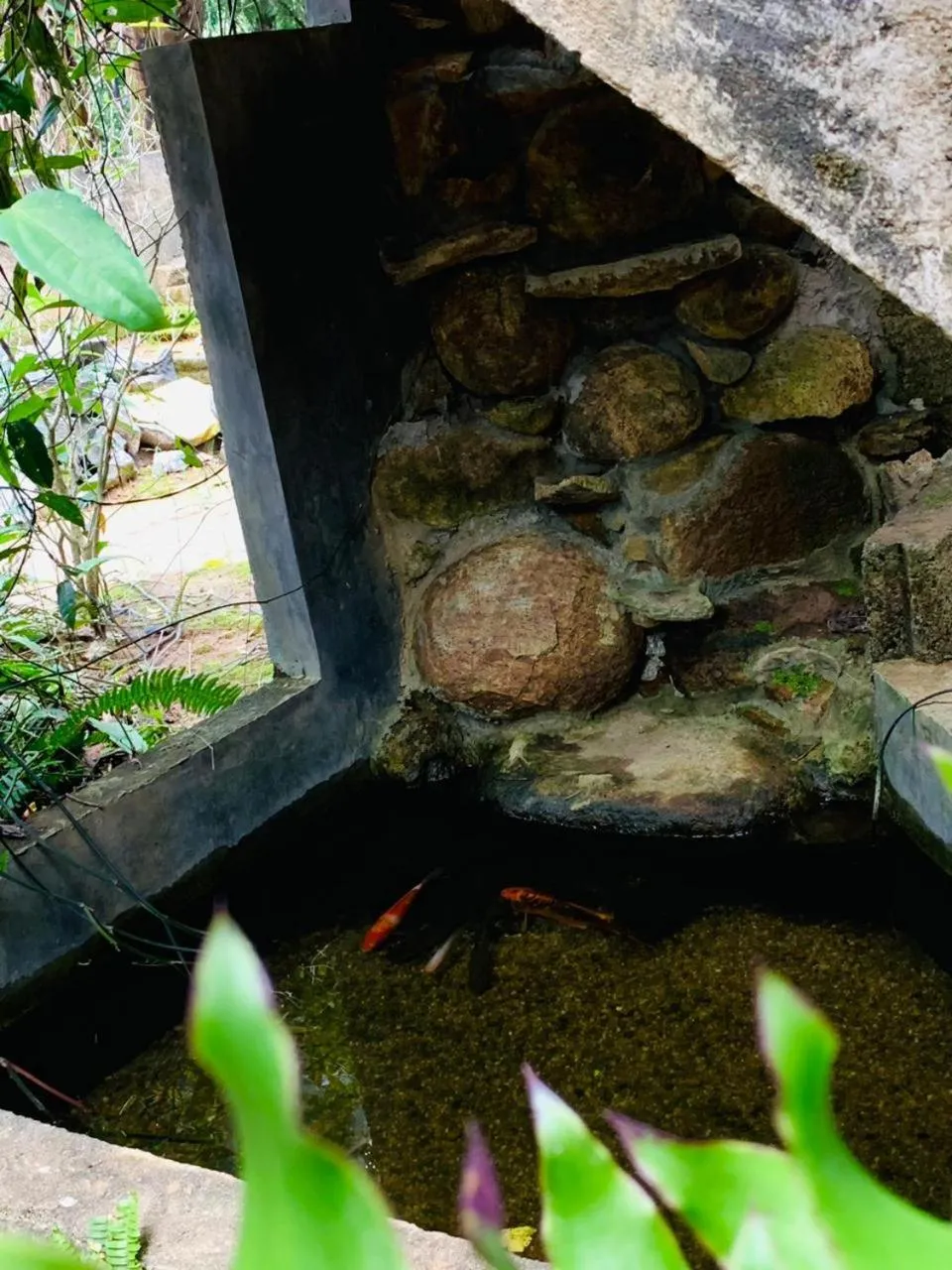 Natural landscape in Little Cottage