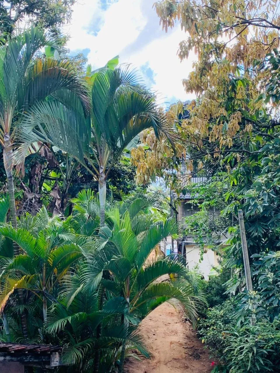 Garden view in Little Cottage