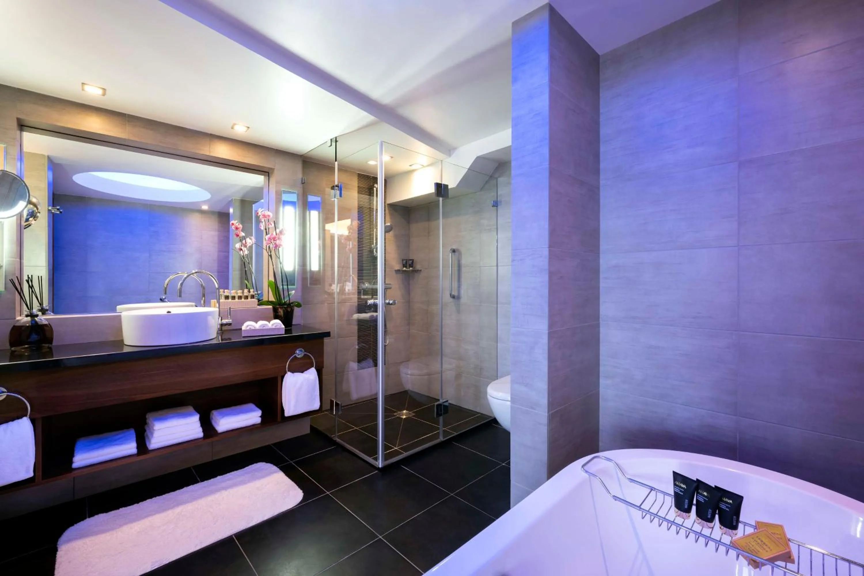 Bathroom, Bed in The Vista At Hilton Tel Aviv