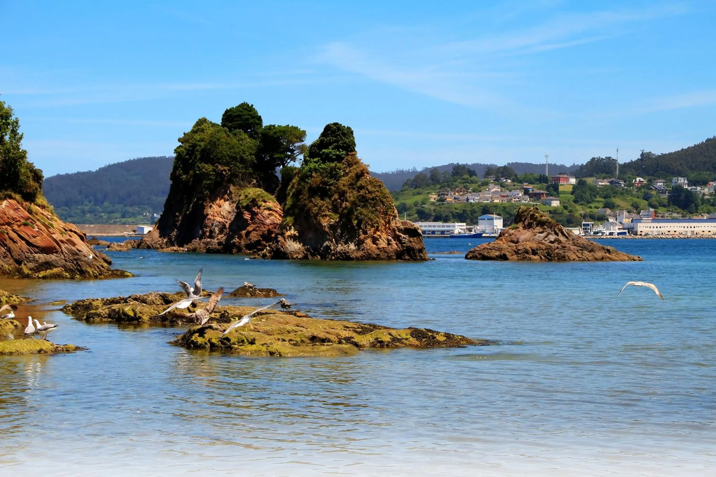 Beach in Duerming Sea View Viveiro