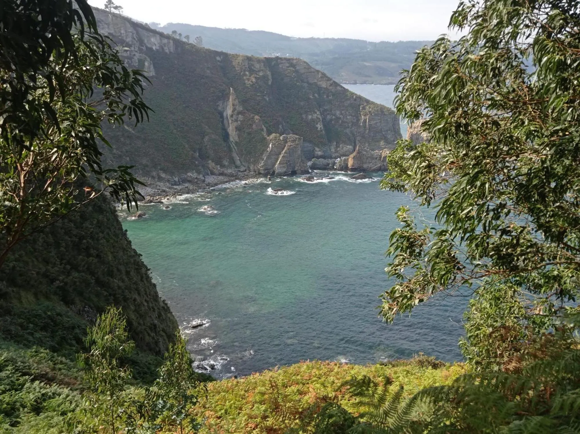 Area and facilities in Duerming Sea View Viveiro