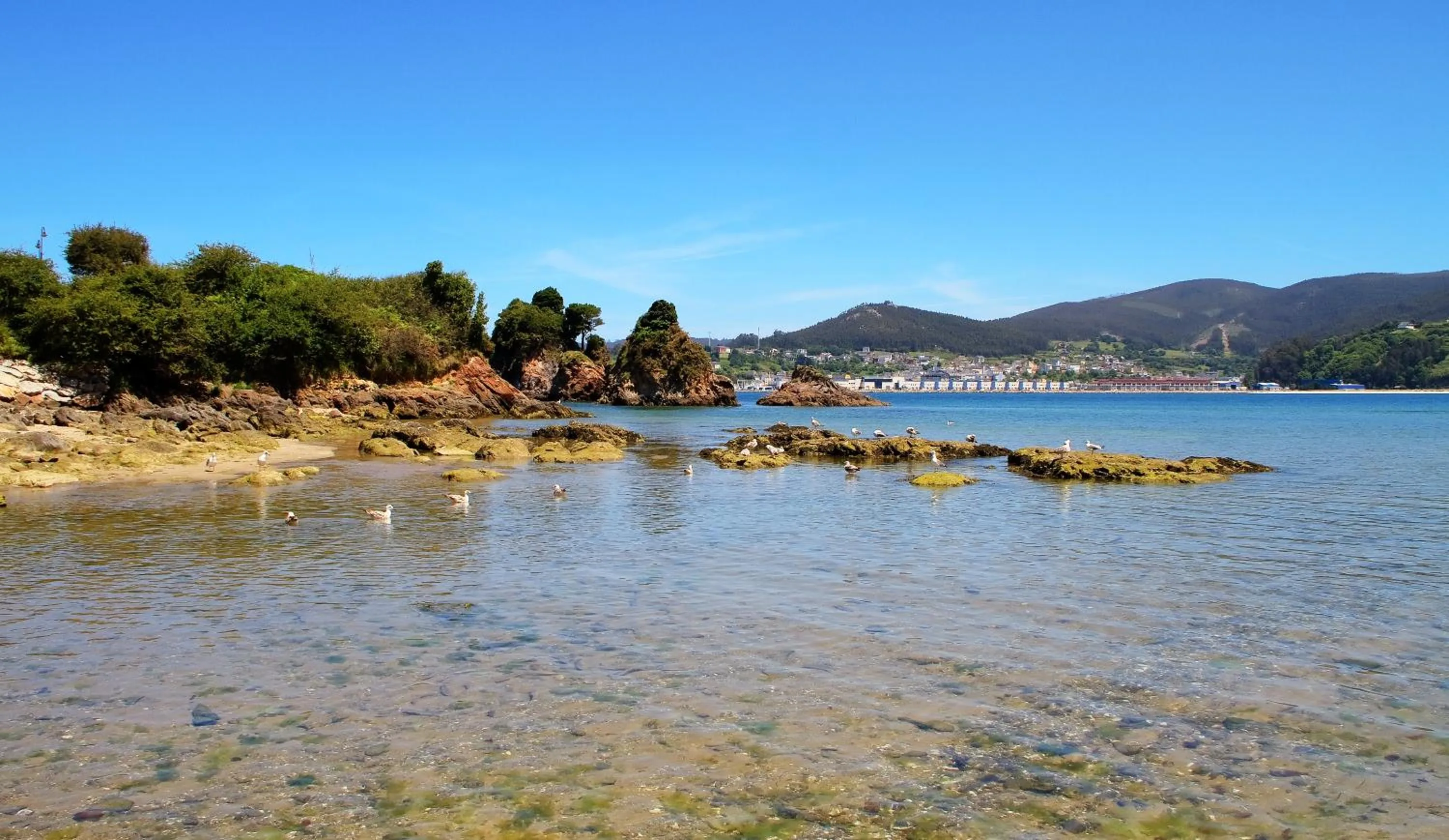Beach in Duerming Sea View Viveiro