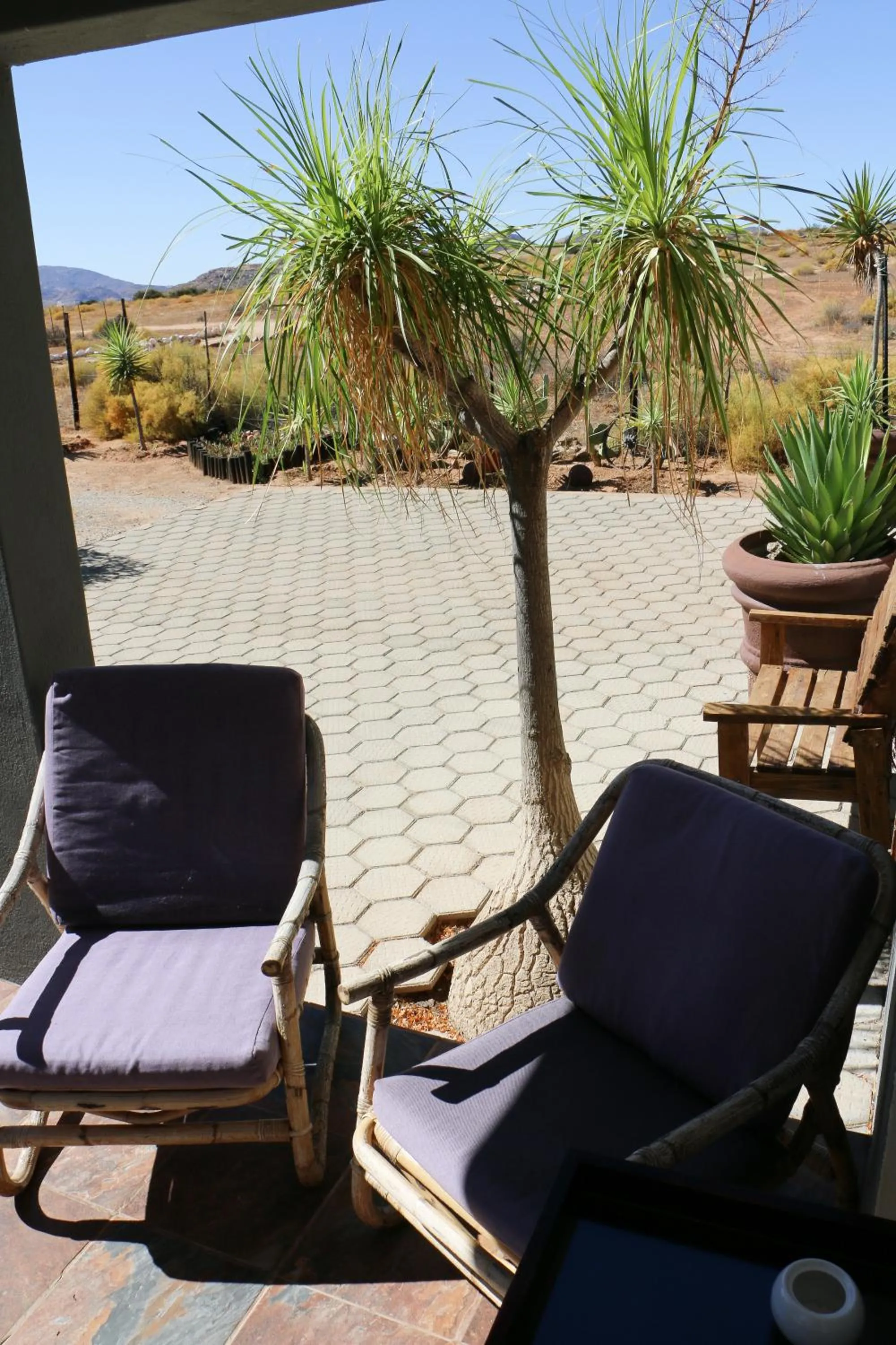 Seating area in Daisy Country Lodge