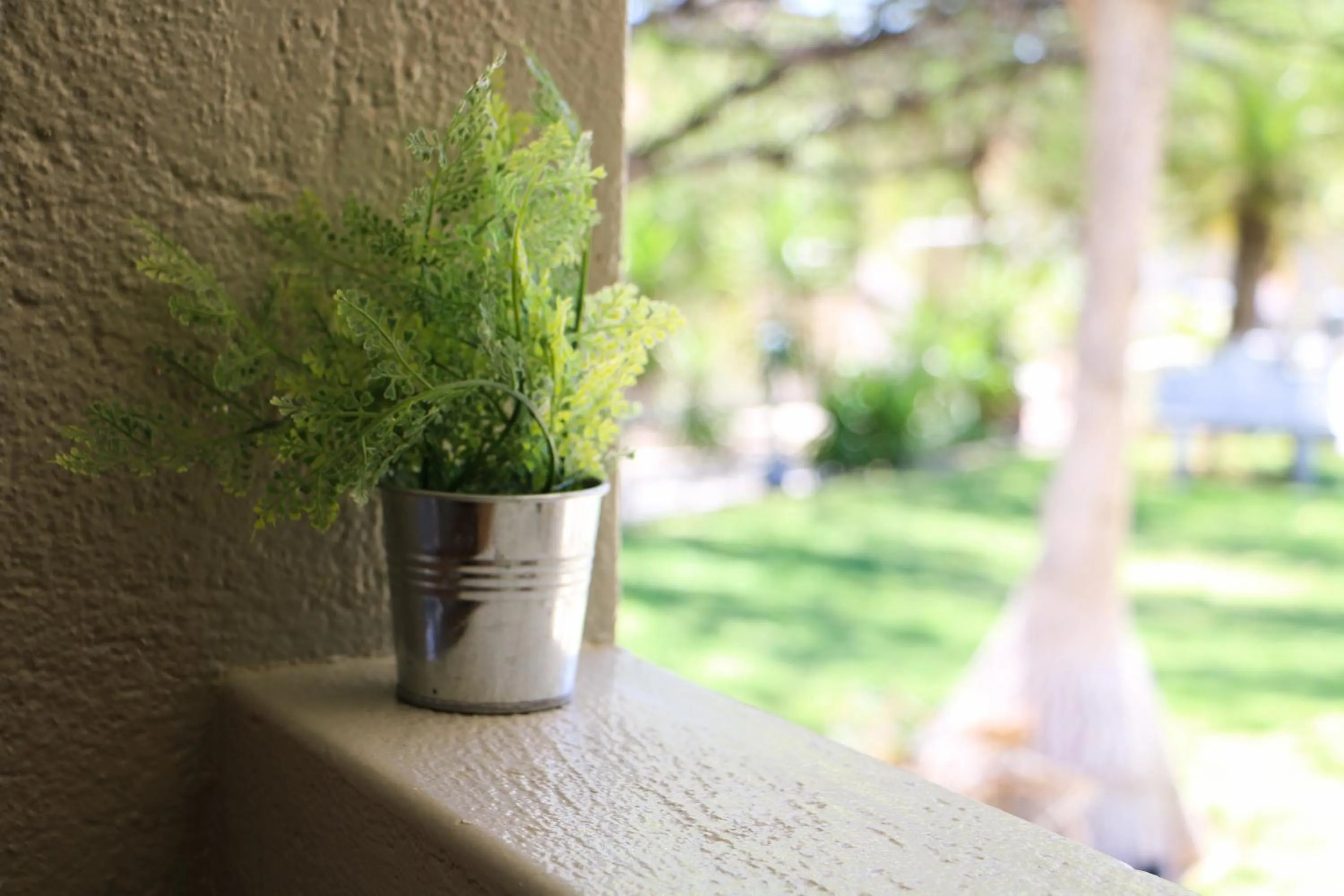 Garden view in Daisy Country Lodge