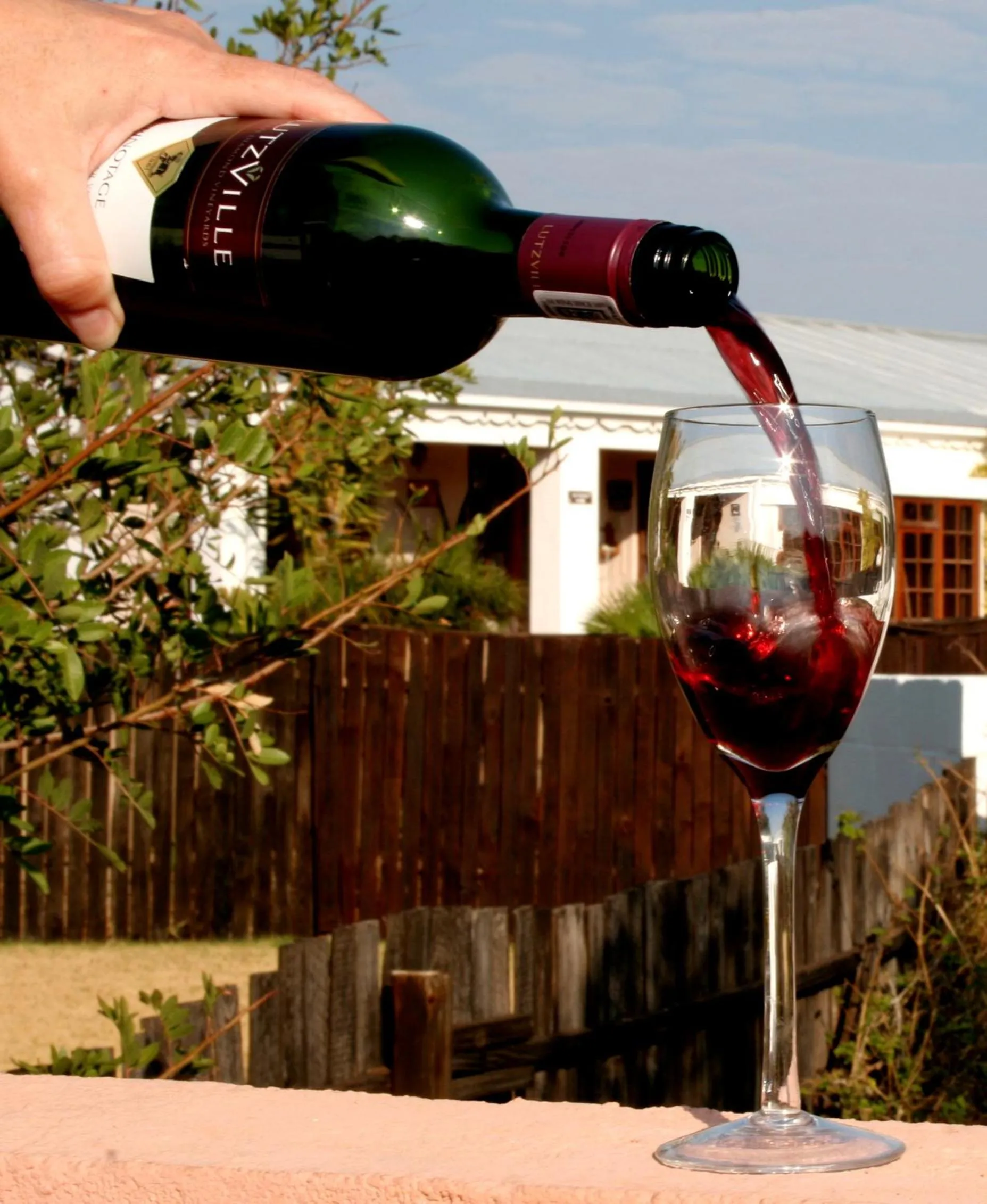 Alcoholic drinks in Daisy Country Lodge