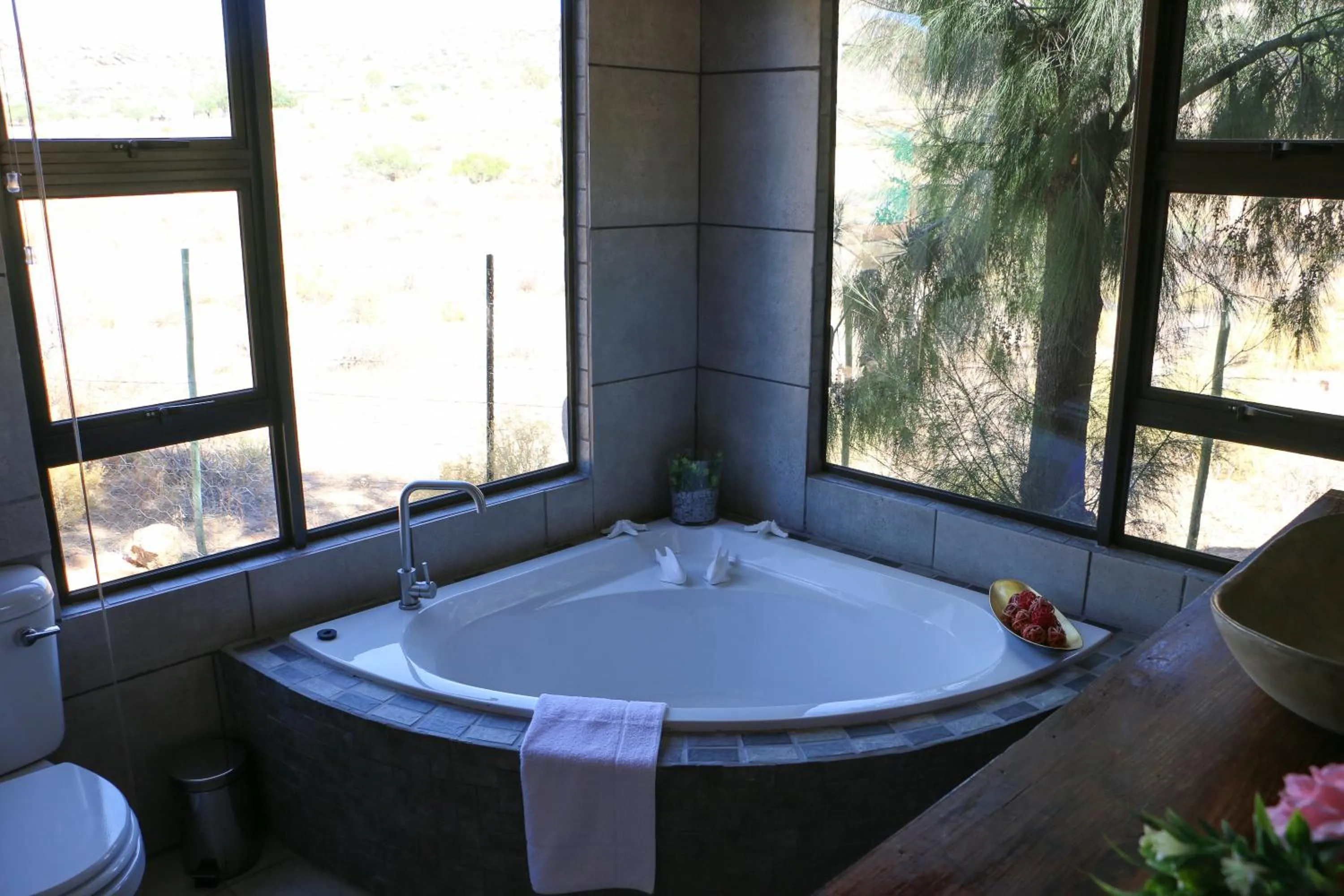 Bathroom in Daisy Country Lodge