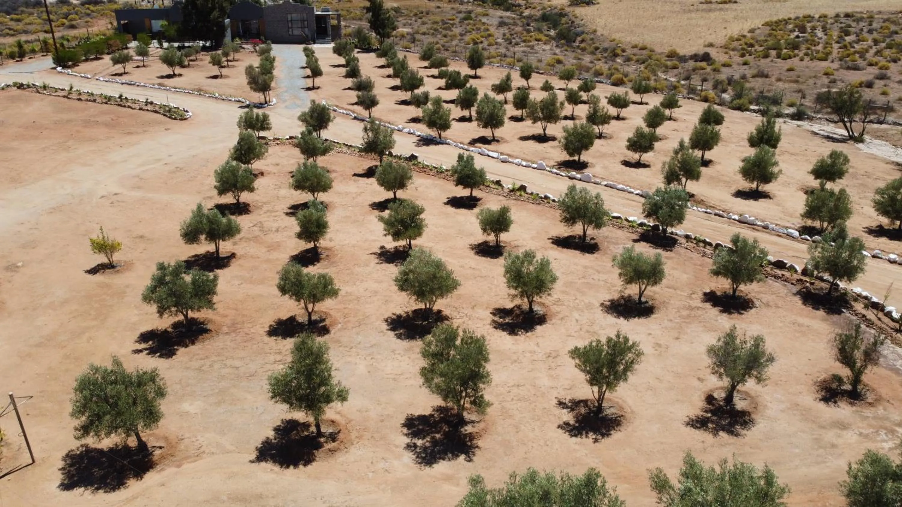 Property building in Daisy Country Lodge